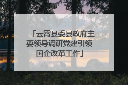 云霄县委县政府主要领导调研党建引领国企改革工作
