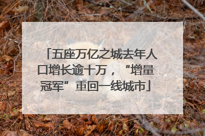 五座万亿之城去年人口增长逾十万，“增量冠军”重回一线城市
