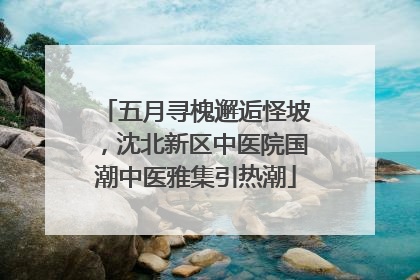 五月寻槐邂逅怪坡，沈北新区中医院国潮中医雅集引热潮