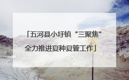 五河县小圩镇“三聚焦”全力推进夏种夏管工作