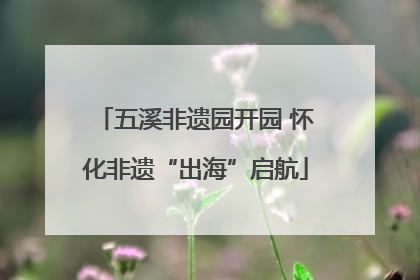五溪非遗园开园 怀化非遗“出海”启航