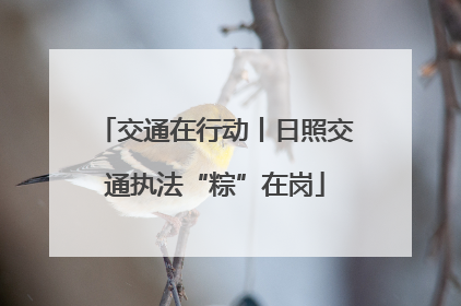 交通在行动丨日照交通执法“粽”在岗