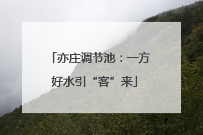 亦庄调节池：一方好水引“客”来