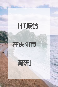 任振鹤在庆阳市调研