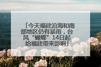 今天福建沿海和南部地区仍有暴雨，台风“蝴蝶”14日起给福建带来影响