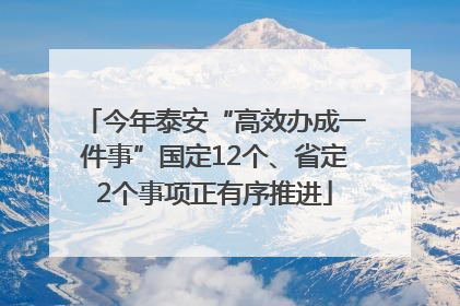 今年泰安“高效办成一件事”国定12个、省定2个事项正有序推进