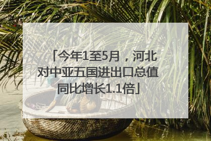 今年1至5月，河北对中亚五国进出口总值同比增长1.1倍
