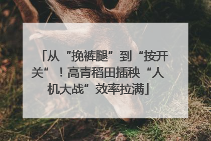 从“挽裤腿”到“按开关”！高青稻田插秧“人机大战”效率拉满