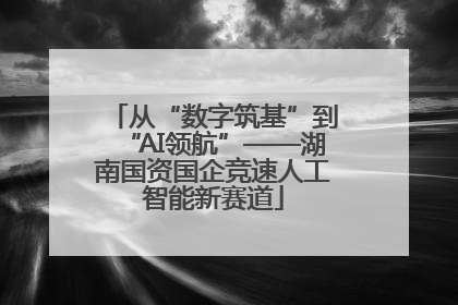 从“数字筑基”到“AI领航”——湖南国资国企竞速人工智能新赛道