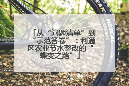 从“问题清单”到“示范答卷”：利通区农业节水整改的“蝶变之路”