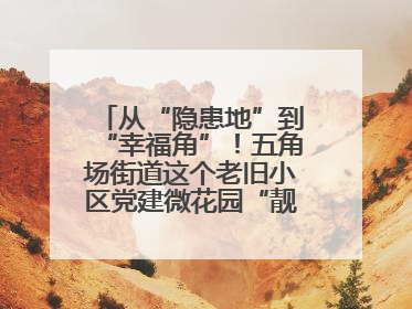 从“隐患地”到“幸福角”！五角场街道这个老旧小区党建微花园“靓”出幸福新图景