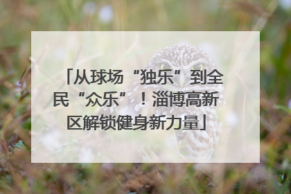 从球场“独乐”到全民“众乐”！淄博高新区解锁健身新力量
