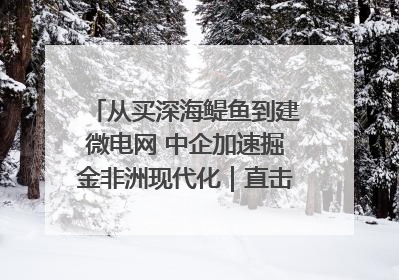 从买深海鳀鱼到建微电网 中企加速掘金非洲现代化｜直击中非经贸博览会