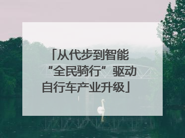 从代步到智能 “全民骑行”驱动自行车产业升级