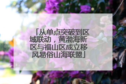 从单点突破到区域联动，黄渤海新区与福山区成立移风易俗山海联盟