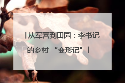 从军营到田园：李书记的乡村 “变形记”