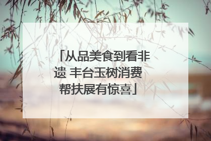 从品美食到看非遗 丰台玉树消费帮扶展有惊喜