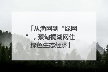 从渔网到“绿网”，蔡甸桐湖网住绿色生态经济