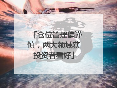 仓位管理偏谨慎，两大领域获投资者看好
