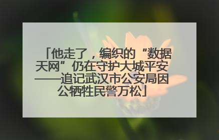 他走了，编织的“数据天网”仍在守护大城平安——追记武汉市公安局因公牺牲民警万松