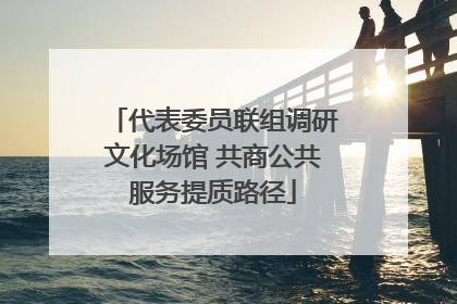代表委员联组调研文化场馆 共商公共服务提质路径