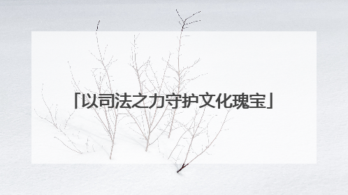 以司法之力守护文化瑰宝