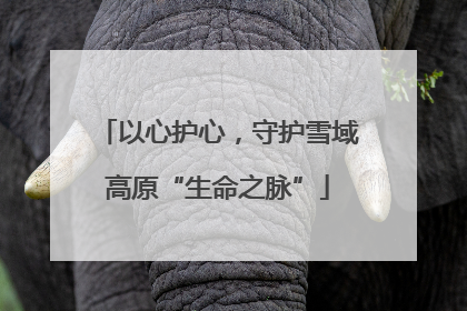 以心护心，守护雪域高原“生命之脉”