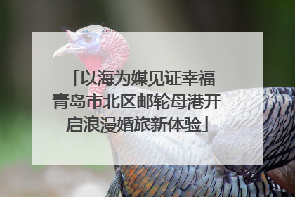 以海为媒见证幸福 青岛市北区邮轮母港开启浪漫婚旅新体验