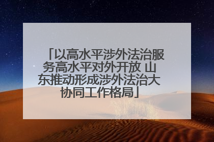 以高水平涉外法治服务高水平对外开放 山东推动形成涉外法治大协同工作格局
