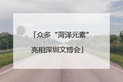 众多“菏泽元素”亮相深圳文博会