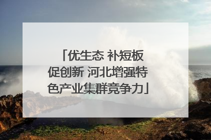 优生态 补短板 促创新 河北增强特色产业集群竞争力