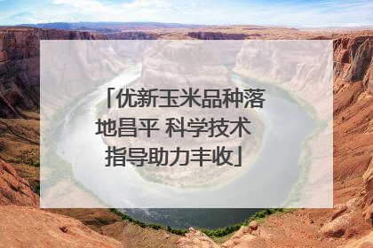 优新玉米品种落地昌平 科学技术指导助力丰收