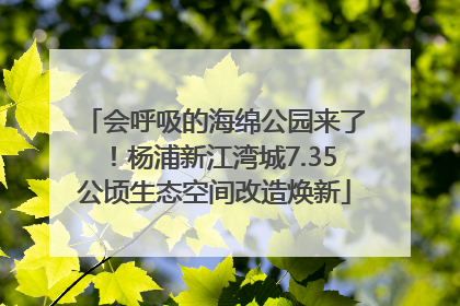 会呼吸的海绵公园来了！杨浦新江湾城7.35公顷生态空间改造焕新