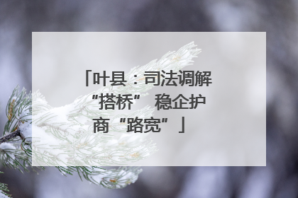 叶县：司法调解“搭桥” 稳企护商“路宽”