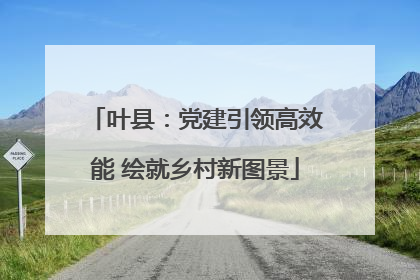 叶县：党建引领高效能 绘就乡村新图景