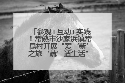 参观+互动+实践！常熟市沙家浜镇常昆村开展“爱‘新’之旅‘蔬’适生活”参观学习活动
