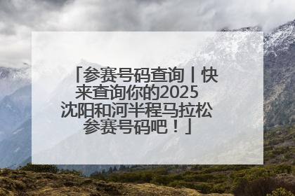 参赛号码查询丨快来查询你的2025沈阳和河半程马拉松参赛号码吧！