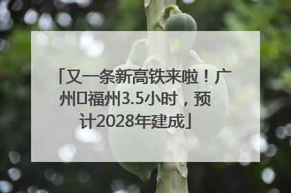 又一条新高铁来啦！广州⇌福州3.5小时，预计2028年建成