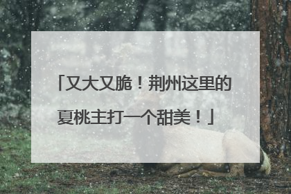 又大又脆！荆州这里的夏桃主打一个甜美！