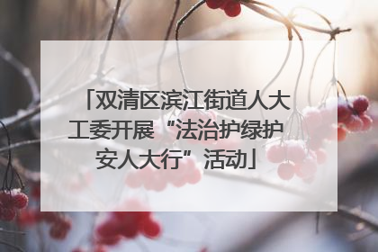双清区滨江街道人大工委开展“法治护绿护安人大行”活动