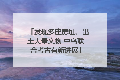 发现多座房址、出土大量文物 中乌联合考古有新进展
