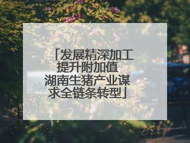 发展精深加工 提升附加值 湖南生猪产业谋求全链条转型