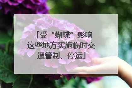 受“蝴蝶”影响 这些地方实施临时交通管制、停运