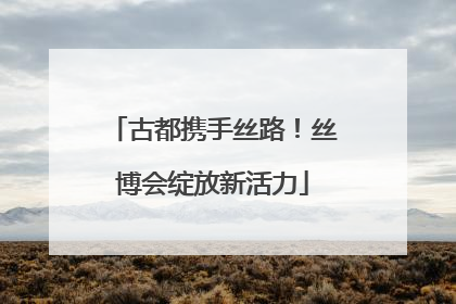 古都携手丝路！丝博会绽放新活力