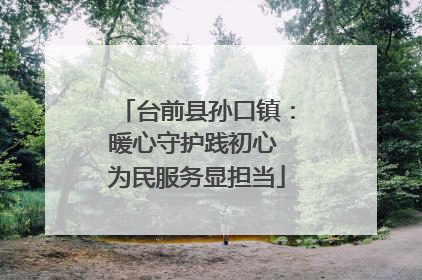 台前县孙口镇：暖心守护践初心 为民服务显担当