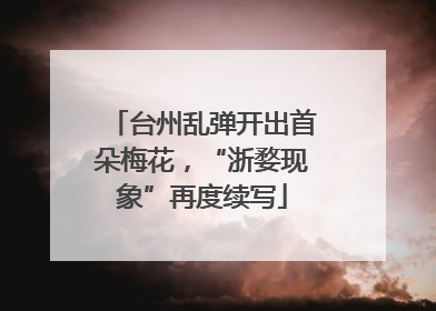 台州乱弹开出首朵梅花，“浙婺现象”再度续写
