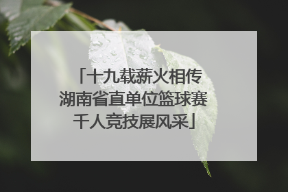 十九载薪火相传 湖南省直单位篮球赛千人竞技展风采