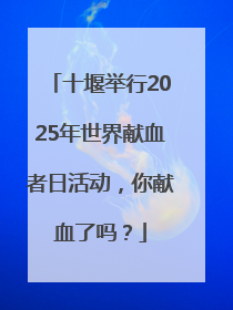 十堰举行2025年世界献血者日活动，你献血了吗？