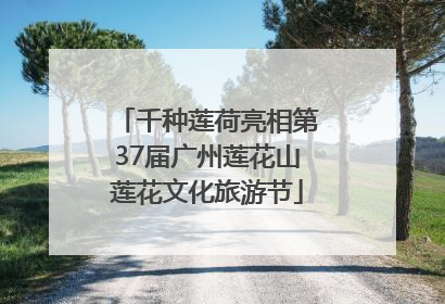 千种莲荷亮相第37届广州莲花山莲花文化旅游节