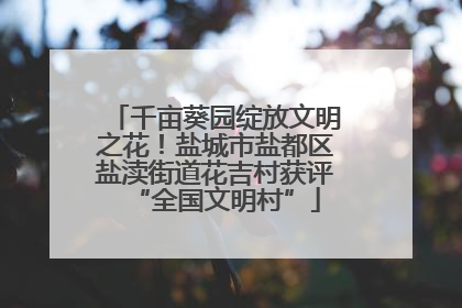 千亩葵园绽放文明之花！盐城市盐都区盐渎街道花吉村获评“全国文明村”